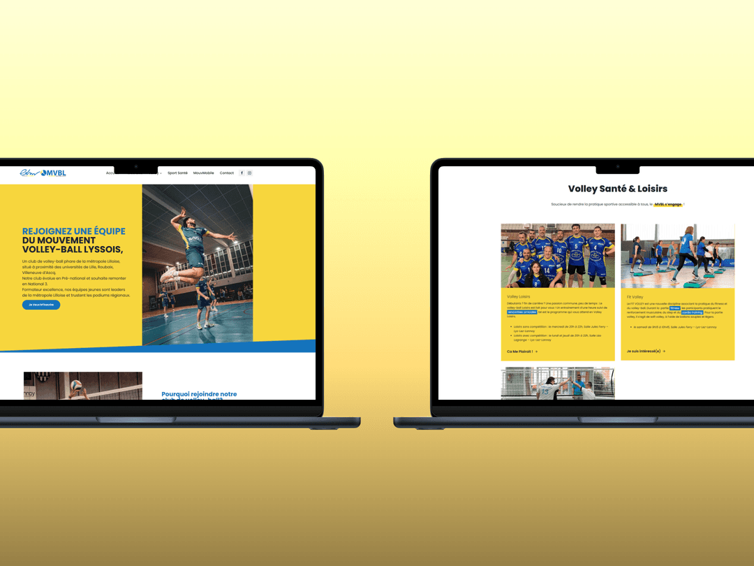 Page Volley-ball de l'Ecole du Mouvement