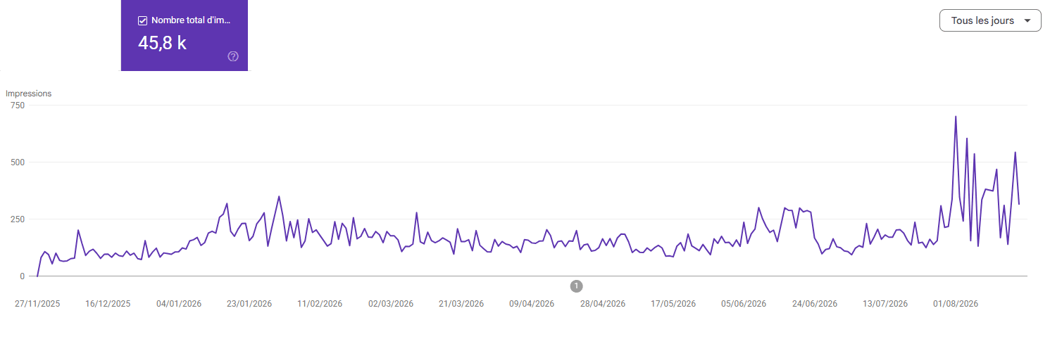 Visibilité Google (impressions)