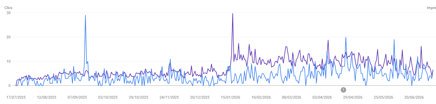 Résultat Search Console PaandawLV