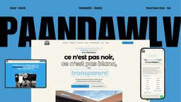 Optimisation Leads: Le succès digital de Paandaw LV