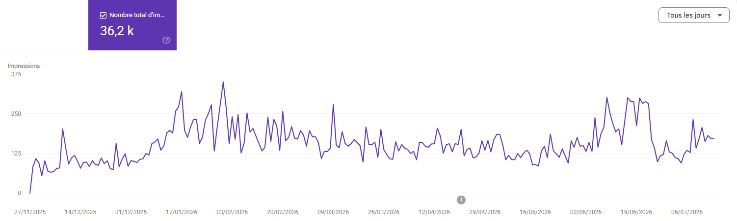 Visibilité Google (impressions)