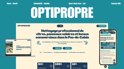 Déploiement SEO multi-zones : le cas Optipropre